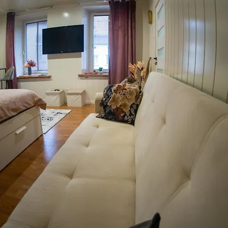 Classic Comfort Aleja Nmp 8 - Free Parking
